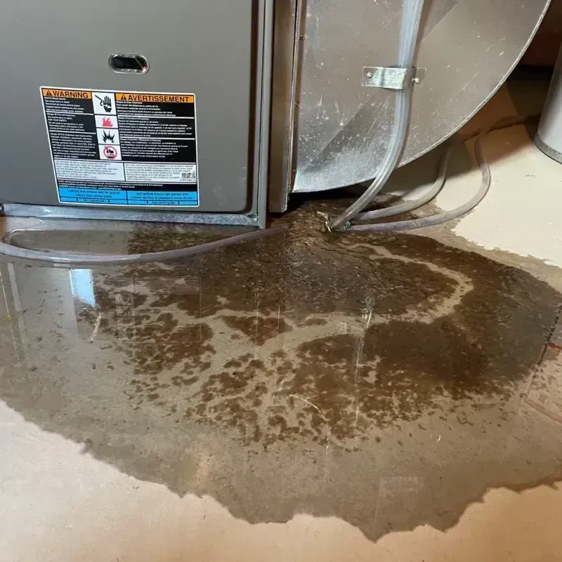 Appliance Leak Cleanup in Gastonia, NC